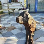 Kunstgut Patapaya Neukalen